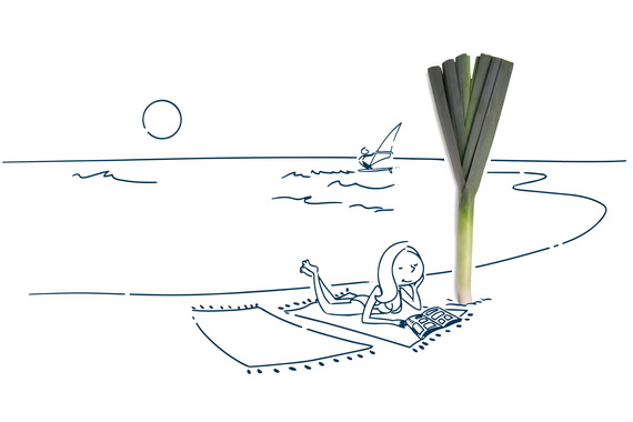 Cartoon of a young lady laying on the beach | Featured image for the Home Page for Approved Finance.